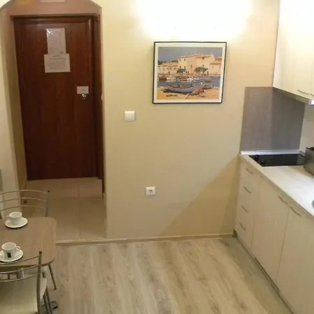 Three Dolphins With A Rooftop Terracе Hotel