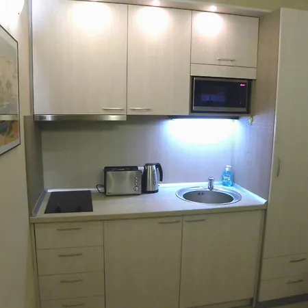 Three Dolphins With A Rooftop Terracе Varna