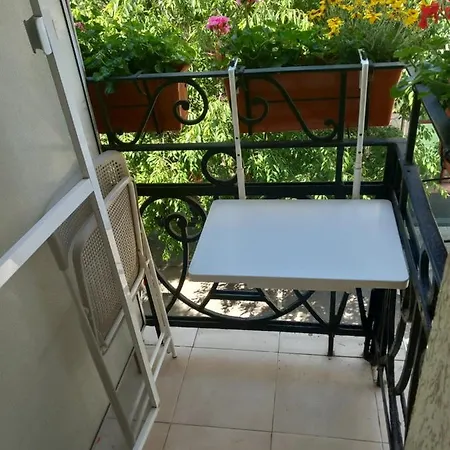 Hotel Three Dolphins With A Rooftop Terracе 3*