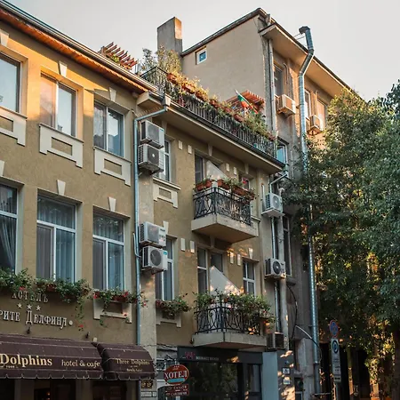 Three Dolphins With A Rooftop Terracе Hotel 3*