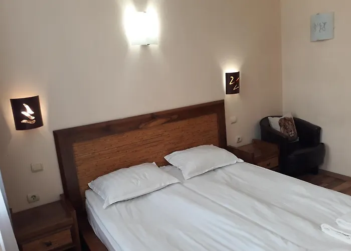 Three Dolphins With A Rooftop Terracе Varna