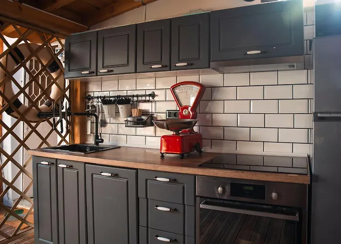 Three Dolphins With A Rooftop Terracе