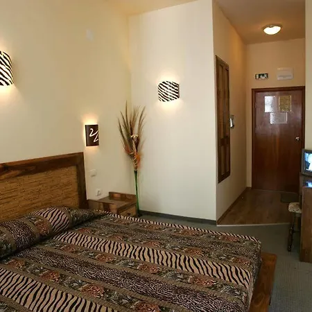 Hotel Three Dolphins With A Rooftop Terracе