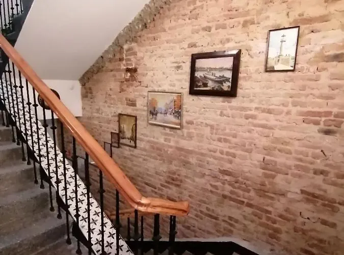 Three Dolphins With A Rooftop Terracе Hotell 3*