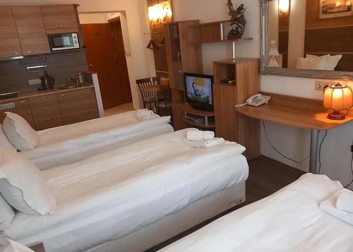 Three Dolphins With A Rooftop Terracе 3* Varna