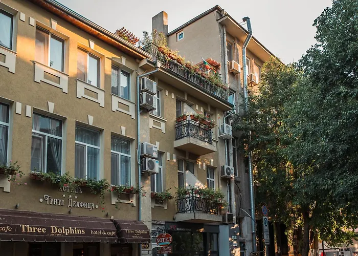 Three Dolphins With A Rooftop Terracе Hotell 3*