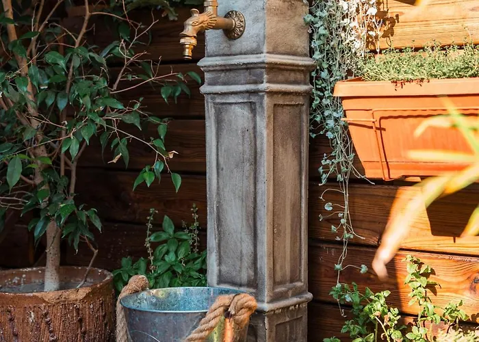 Three Dolphins With A Rooftop Terracе Hotell