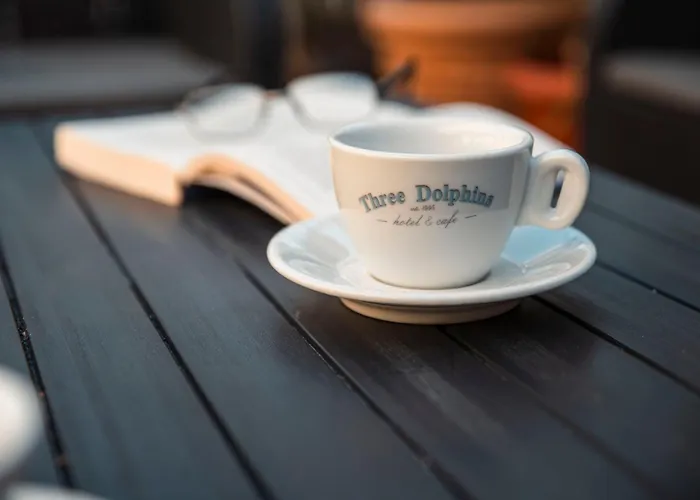 Three Dolphins With A Rooftop Terracе 3* Varna